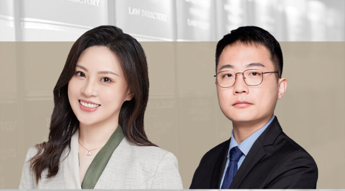 Company Law DSO Obligations