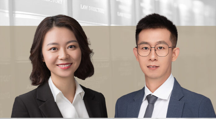 Labour Market Challenges and Legal Employment Adjustments