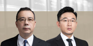 Chinese Investment in Brazil