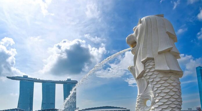 Wintell & Co expands Singapore