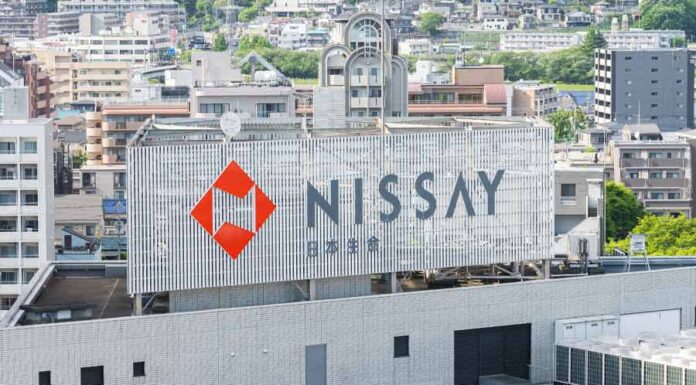 Multiple-firms-drive-Japanese-insurer’s-biggest-overseas-buy