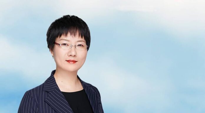 shareholder responsibilities in bankruptcies