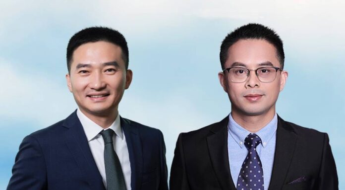 Chinese legal expert witnesses