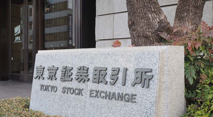 JX Advanced Metals IPO