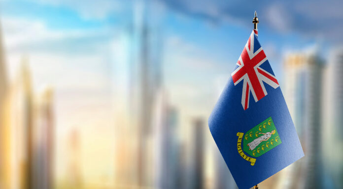 BVI expands Asia and China investments
