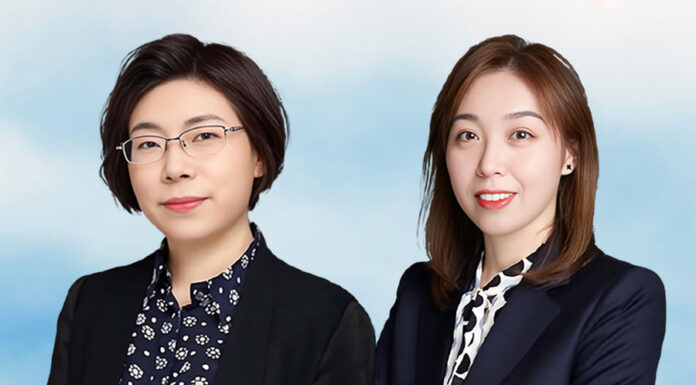 Retrial of the ‘伊丽’ dispute over trademark invalidation trademark invalidation and legal strategy in IP protection