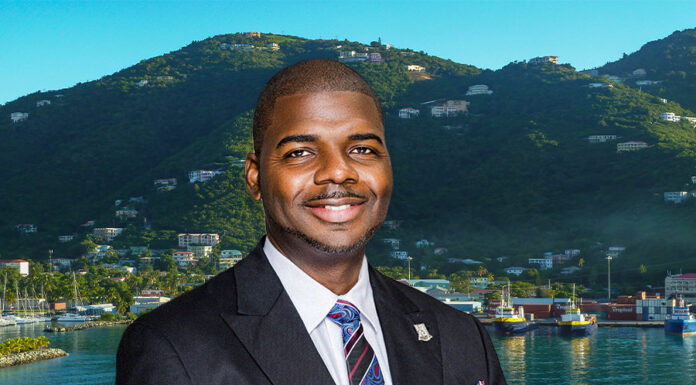 BVI Asia-Pacific Market Strategy