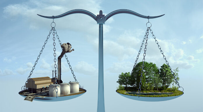 Nature in the balance Vanashakti Supreme Court Ruling