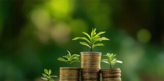 Carbon Coin Issuance