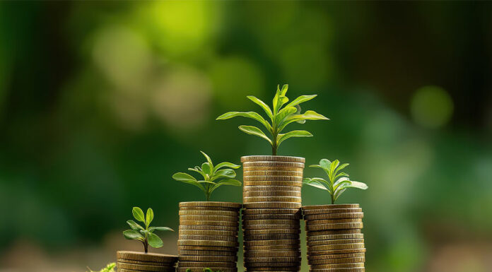 Fangda advises on first 500m compliant carbon coins issuance Carbon Coin Issuance