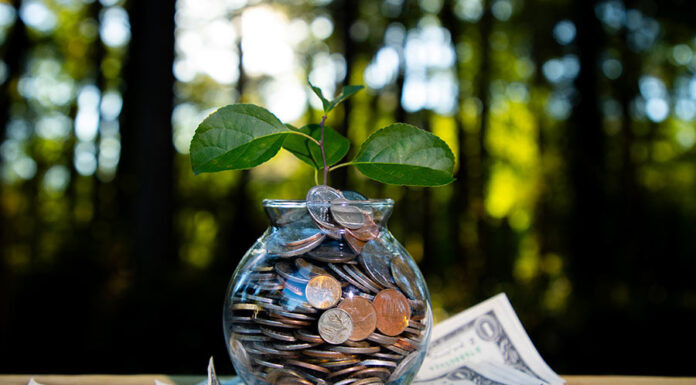 New green fund rules set India’s polluter-pays principle Environmental Protection Fund Rules
