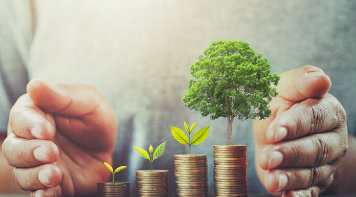 Turnover can shape environmental compensation: Supreme Court Environmental Compensation Scale of Operations