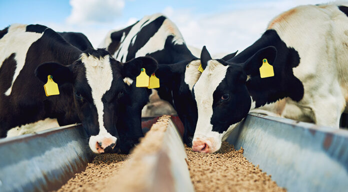 Firms act on Korean USD854m livestock feed sale to Royal De Heus CJ Feed and Care Sale