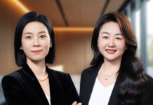 China Customs Law Practice