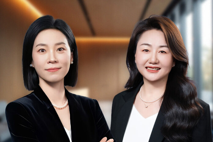 China Customs Law Practice