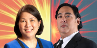 Philippines Renewable Energy Market