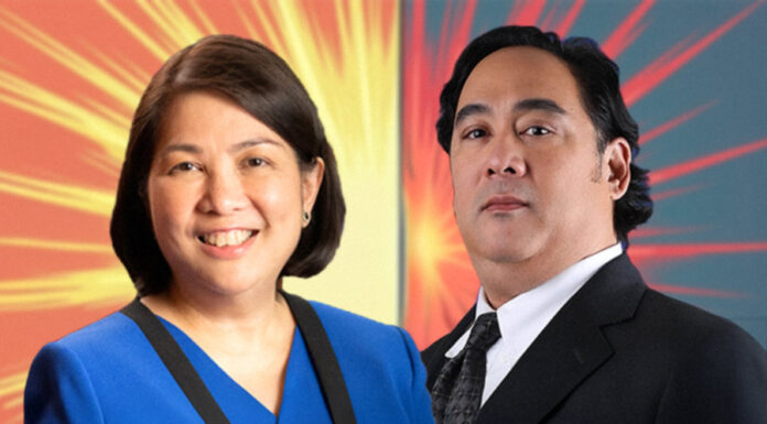 Philippines renewable energy reforms and foreign investment opportunities Philippines Renewable Energy Market