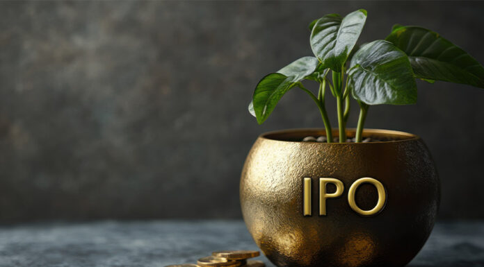 Firms help Clean Max Enviro Energy raise USD500m in IPO CleanMax IPO