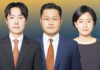 South Korea One-Person Corporations