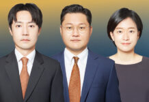 한국 연예인 세무조사가 드러낸 1인 법인의 실체 South Korea One-Person Corporations