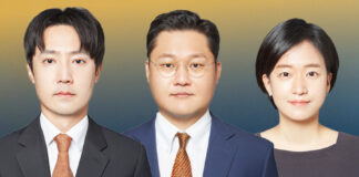 South Korea One-Person Corporations
