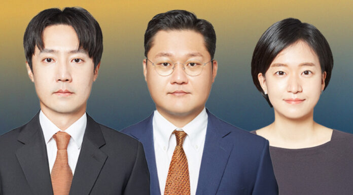 What Korea’s celebrity tax cases reveal about one-person corporations South Korea One-Person Corporations