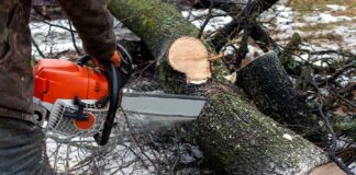 Environmental Clearance Violations