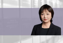 Shareholder and affiliate liability disputes