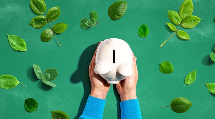 China finance ministry issues RMB6bn sovereign green bonds China finance ministry sovereign green bonds